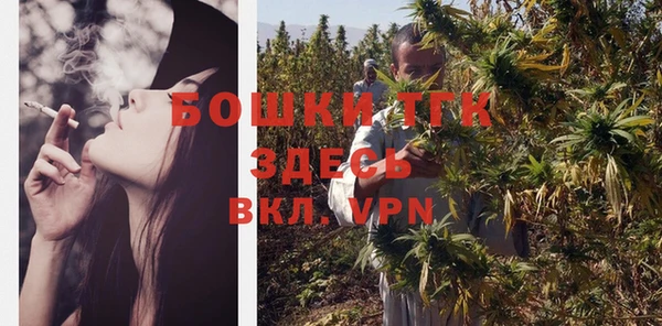 прущая мука Бородино