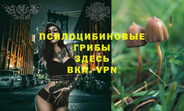спиды Бугульма