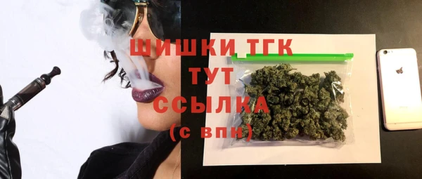 мдпв Бронницы