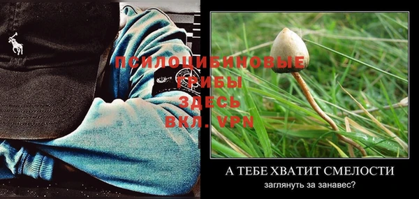 прущая мука Бородино
