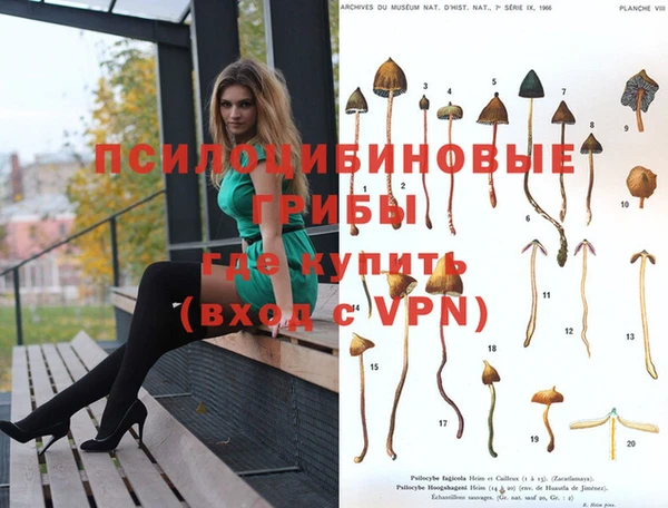 прущая мука Бородино