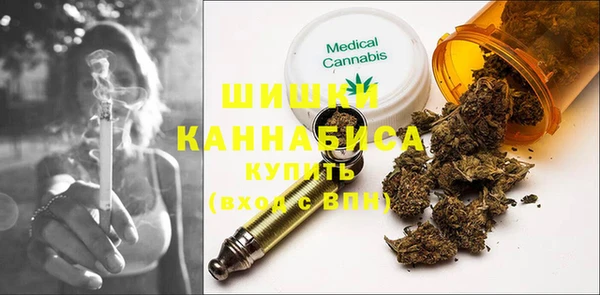 мдпв Бронницы