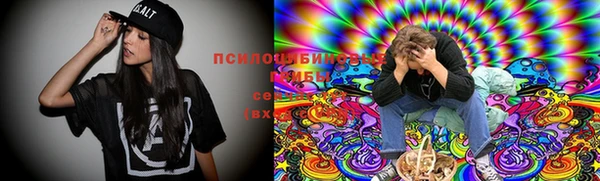 мдпв Бронницы