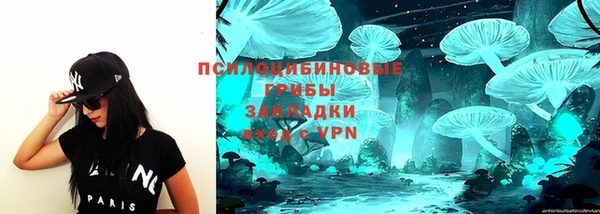 прущая мука Бородино