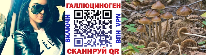 мега зеркало  Нытва  Галлюциногенные грибы Magic Shrooms  где купить наркоту 